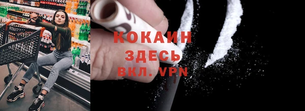 ГАЛЛЮЦИНОГЕННЫЕ ГРИБЫ Аркадак