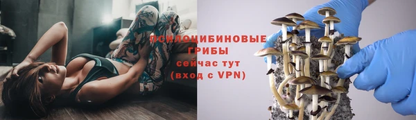 mdpv Арсеньев