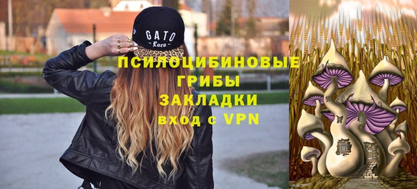 spice Армянск