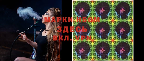 ГАЛЛЮЦИНОГЕННЫЕ ГРИБЫ Аркадак