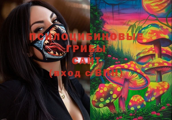 ГАЛЛЮЦИНОГЕННЫЕ ГРИБЫ Аркадак