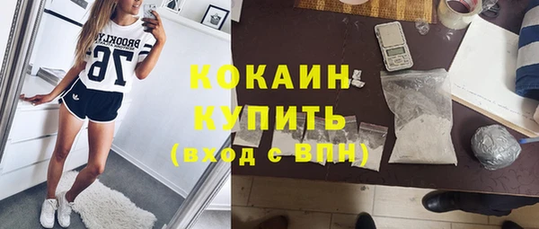 ГАЛЛЮЦИНОГЕННЫЕ ГРИБЫ Аркадак